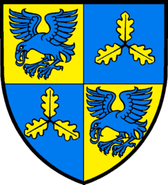 Wappen des Hauses Schwingenbach (c) Salva A.