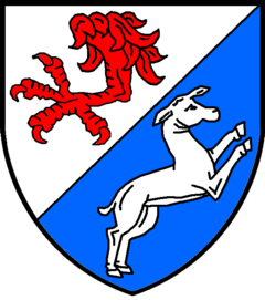 Wappen des Hauses Rickenbach (c)TanFlam