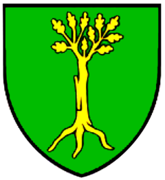 Wappen Baronie Firnholz.png