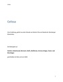 Celissa das Briefspiel.pdf